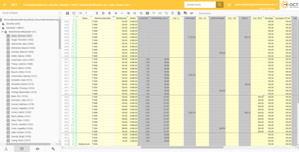 Personalplanung mit OCT: Eingabe der Plandaten pro Mitarbeiter und Lohnart